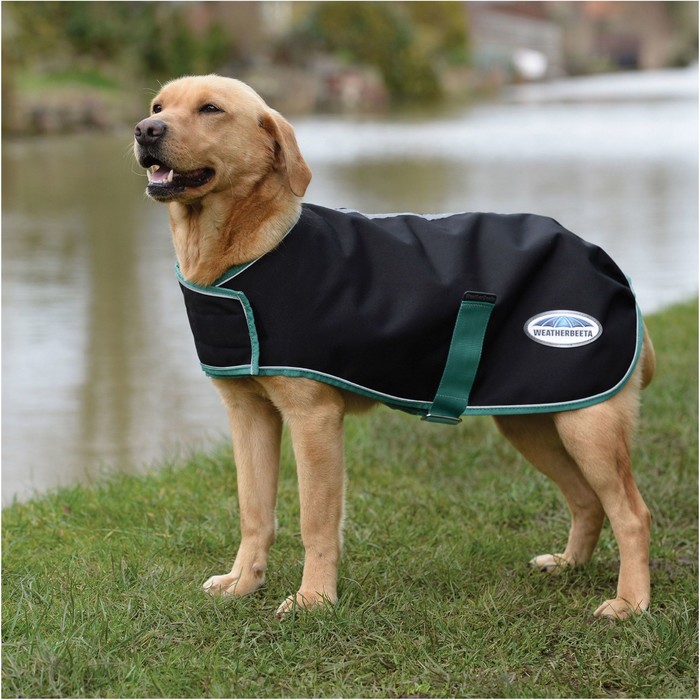 2022 Weatherbeeta Green-Tec 900D Dog Coat Lite Plus 1006215 - Black / Bottle Green